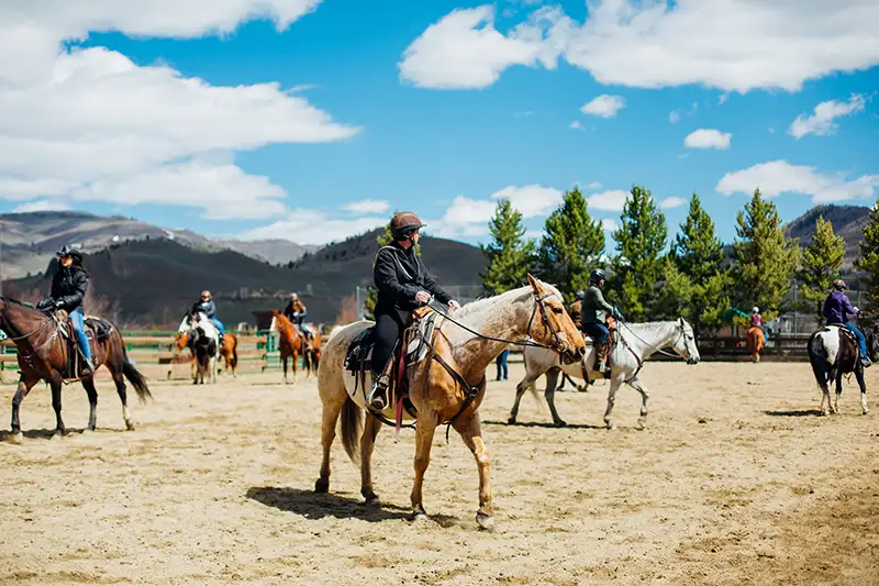 A julie goodnight clinic in the outdoor arena