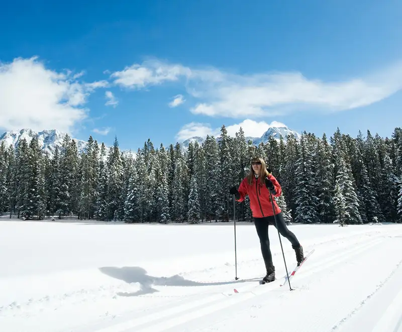 a cross-country skier