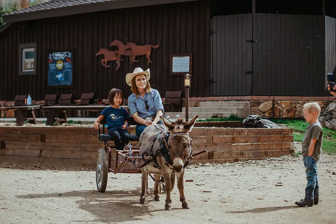 Cowpoke going for a donkey cart ride while another cowpoke waits his turn